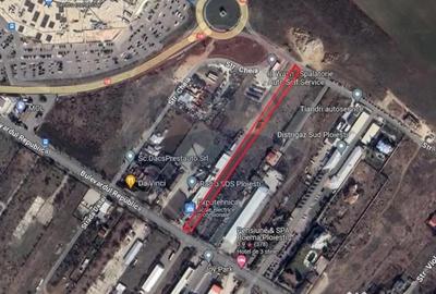 Teren de 4340 mp, în Albert - 3