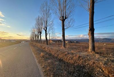 Complex industrial *hala 682 mp + teren 2,5 ha* - Tetila - 2