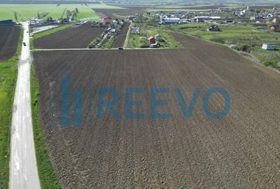 Teren de vanzare, Com. Nicolae Balcescu, Jud. Bacau - 11