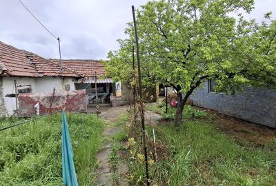 Teren Construcții intravilan de 420 mp, în Palazu Mare - 5