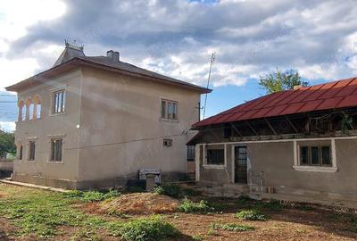 Vand casa la tara cu livada - 4