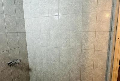 Garsoniera 22 mp in curs de renovare total - 10