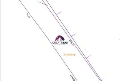 Teren 5600 mp Snagov Lac - 3