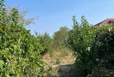 Teren de 2258 mp, în Ciocănești - 3