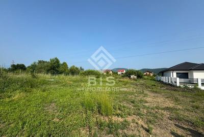 Teren intravilan 900 mp - Valea Rusului - 2