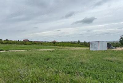 Teren 500 mp Paleu Teren 500 mp Paleu - 2