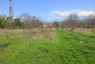 Teren intravilan si extravilan zona Viperesti