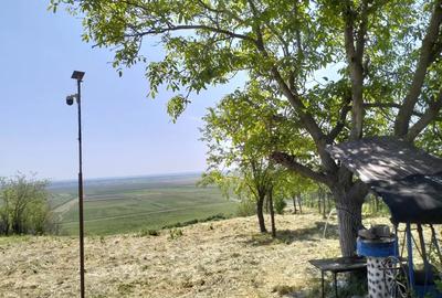 Casa de vanzare Baneasa - 3