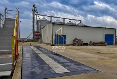 Spațiu industrial, de 250 mp, în Petrești - 4