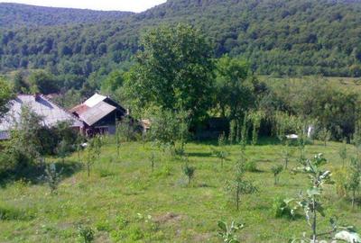 Teren de 4000 mp, în Tutana - 10