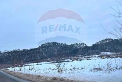 Teren de 17250 mp, în Moșna - 7