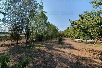 Teren intravilan agricol si teren curti constructii Lot 2 Parcela A326/49 Teren intravilan agricol si teren curti constructii Lot 2 Parcela A326/49 - 11