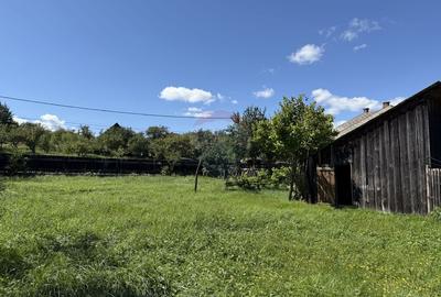 Casa la tara | Calatele | Teren 2100 mp | Exclusivitate | Comision 0% - 13