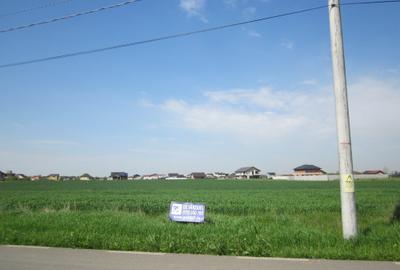 Teren Construcții intravilan de 447 mp, în Domnești - 13