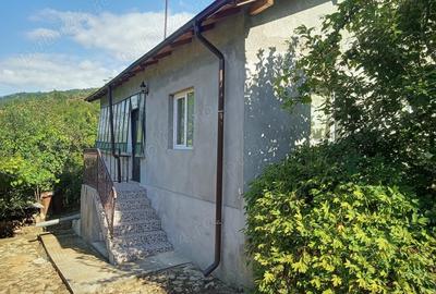 Casă cu 6 camere în Chiojdeanca - 1