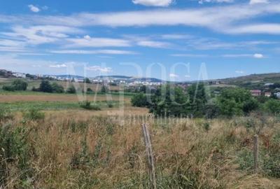 Teren intravilan pentru constructii de vanzare in Borhanci, Cluj Napoca - 2