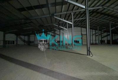 Spațiu industrial, 1650 mp în Sud - 10
