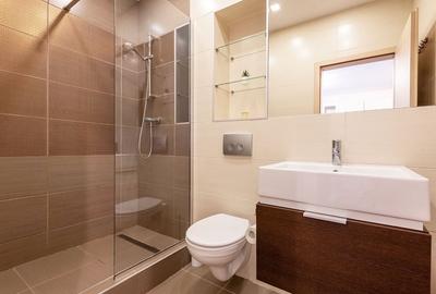 Apartament Premium de 2 camere de vanzare, Zona Centrala, Platinia Mall Apartament Premium de 2 camere de vanzare, Zona Centrala, Platinia Mall - 11