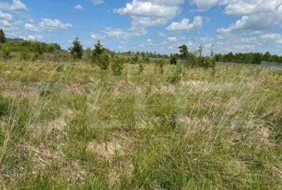 Teren intravilant, 2500 MP, parcelabil , front 25 ml ,Hardic - 1