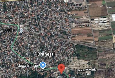 Spațiu comercial, în Brănești - 1