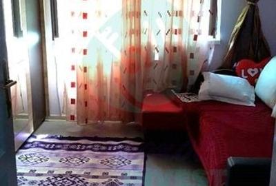 Vilă în Cotroceni | Curte proprie | Gradina Botanică-Palat-Carol Davilla - 7