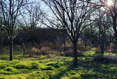 Teren Intravilan + casuta si anexe - 1