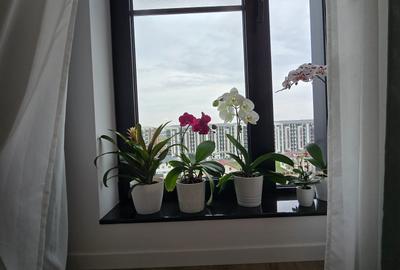 Apartament 3 camere in Transparent Residence, Chiajna | Prima închiriere - 10