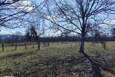 Teren de 400 mp, în Domnești - 6