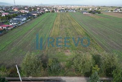 Teren de 5000 mp, în Bogdan Vodă - 3