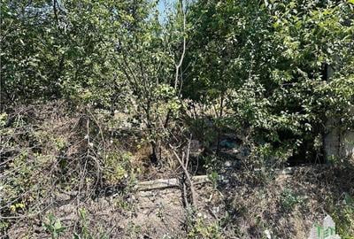 TEREN STRADAL GIULESTI, 50000 mp, la asfalt, intravilan, toate utilitatile, pent - 7