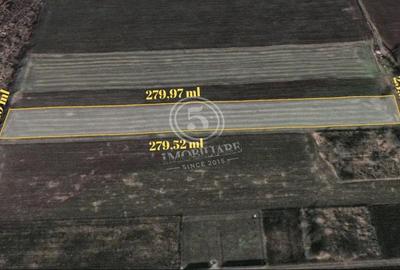 Braila- Teren Intravilan de Vanzare- 6667 mp - 3