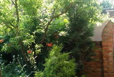 Casa Zona Centrala (Tudor Vladimirescu) - 6