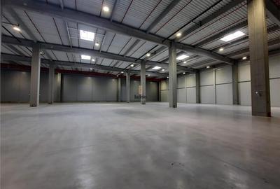 Spatiu Industrial - 5300 mp - Logistica - Productie - Depozitare - Distributie