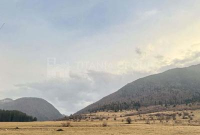 Teren intravilan, 2548 mp, cu priveli?te superba - Zarne?ti - 7