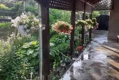 Casă cu 4 camere cu Teren 700 Mp în Cetate - 8