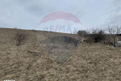 Teren de 2307 mp, în Ciurila - 15