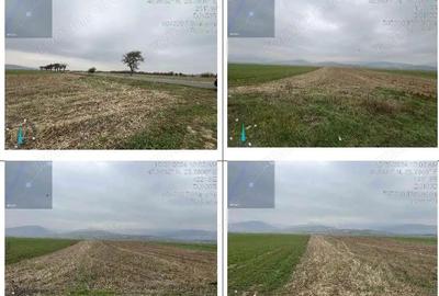 Teren de 2900 mp, în Tărlungeni - 9