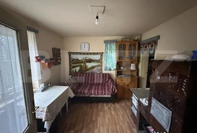 Casă cu 4 camere cu Teren 3000 Mp în Cășeiu - 11