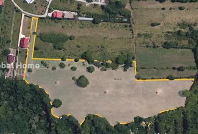 Teren de 23345 mp, în Cornu - 8