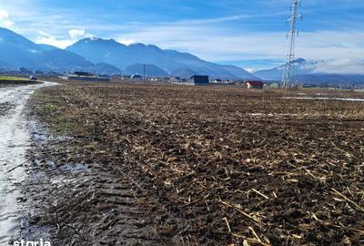 Teren de 3500 mp, în Movilei - 8