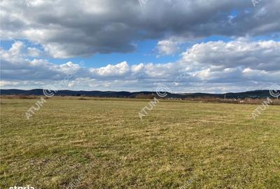 Spațiu comercial, în Cristian - 12