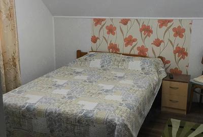 Casă cu 7 camere cu Teren 2118 Mp în Cenad - 9