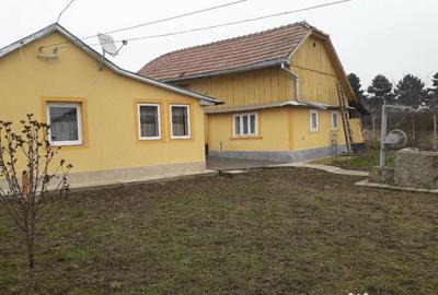 Casă cu 3 camere cu Teren 1800 Mp în Plopeni - 15