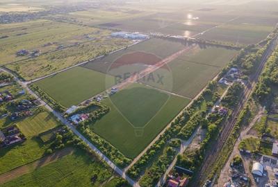 Teren 240,000mp Targoviste / Strada Dentas - 4