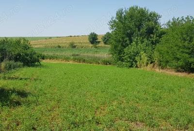 Casă în Mihai Viteazu - 2