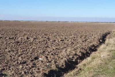 Teren extravilan- Com. Siria, jud. Arad - 3