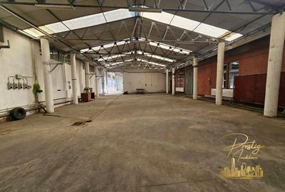 Spațiu industrial, 1200 mp în Seleuș
