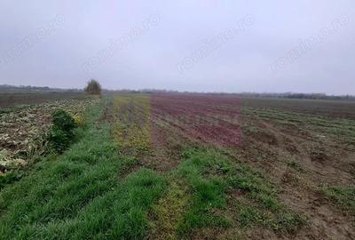 Teren Investi?ie aproape de Bucure?ti - 10