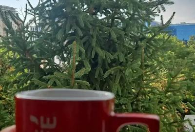 Apartament cu 2 camere semidecomandat în Tipografilor - 2