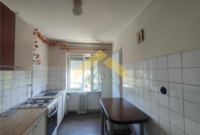 Apartament 3 camere de inchiriat Boul Rosu - 9